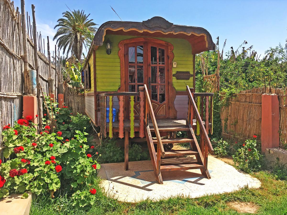 Zen Surf Beach House Aourir Exterior photo